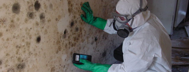 Mold inspections are the most important procedures in the process of mold removal. Because most of the time, the human eye cannot detect the mold, which is often invisible