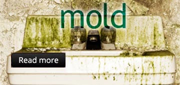 mold removal & remedition